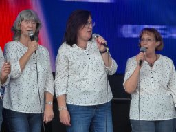Hafenfest-04