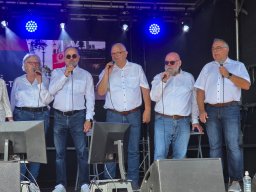 Hafenfest-08